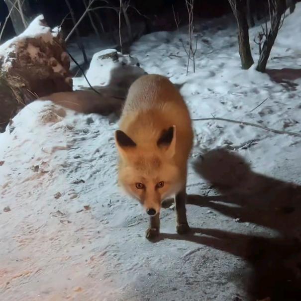 小杨头铜锅饺子馆