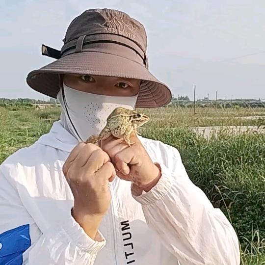 养蛙   —（人）