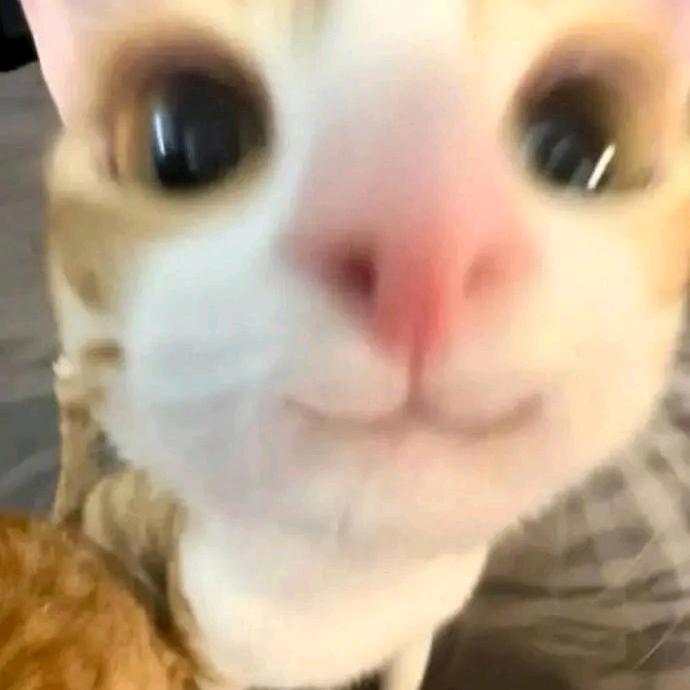 刘刘梅