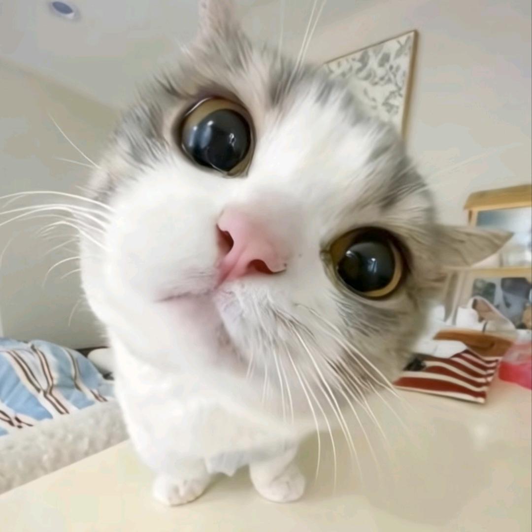 习惯不曾习惯的习惯会习惯的