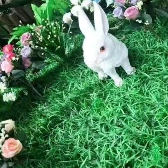 人间清醒搞钱要紧