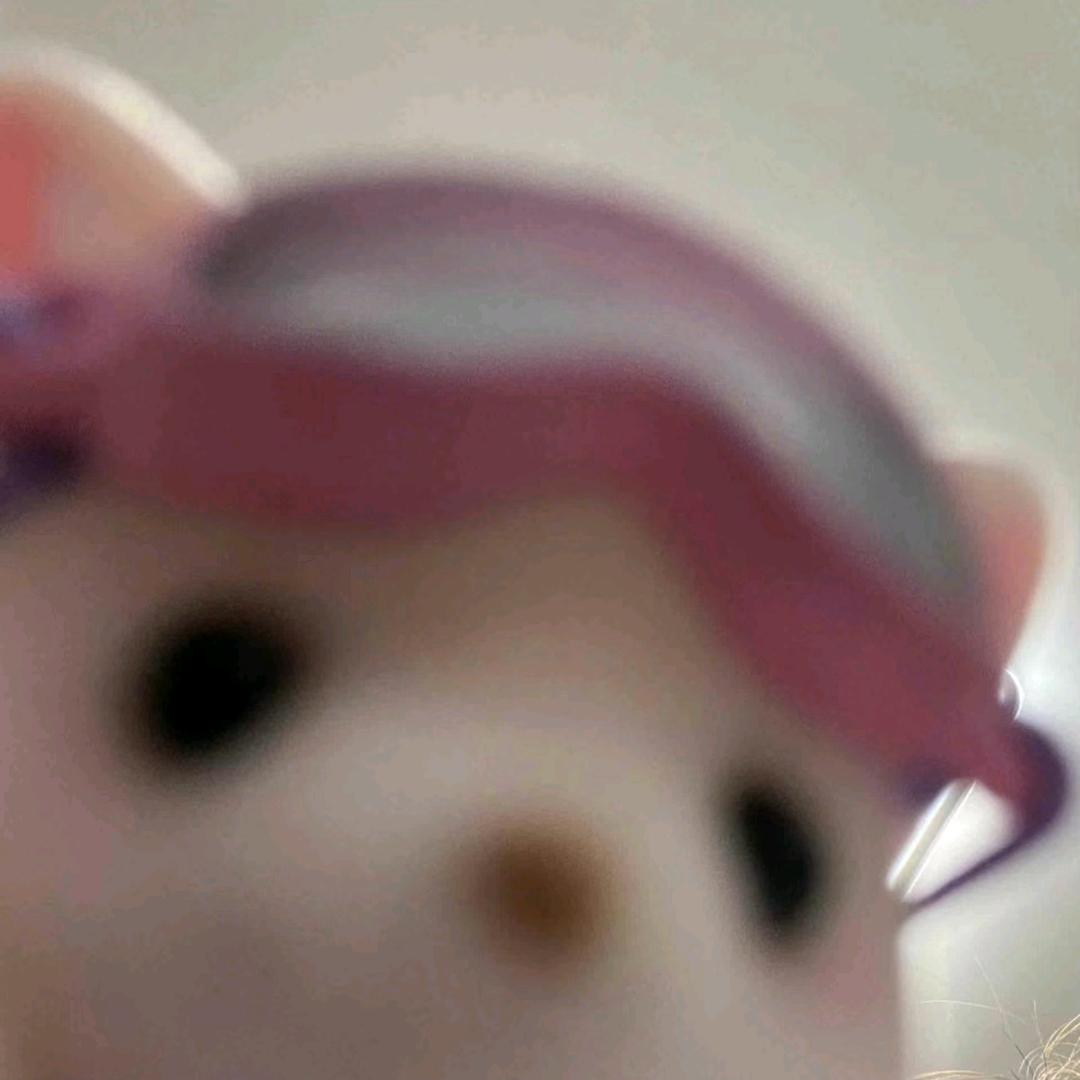 Qn