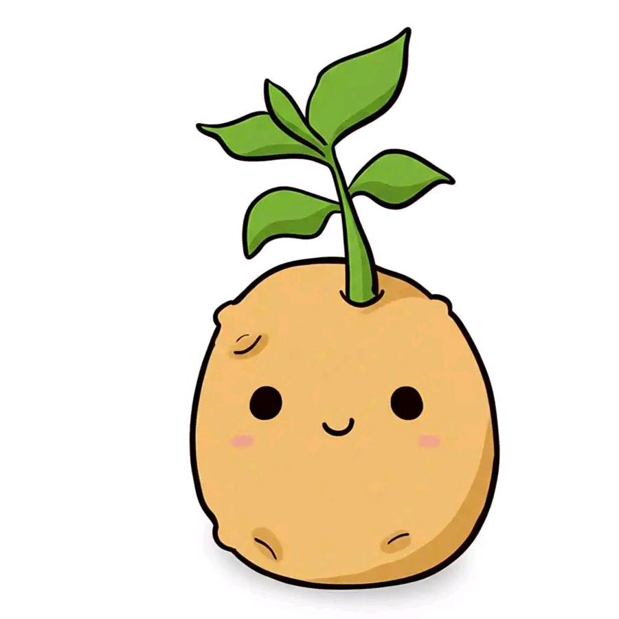 会发芽的土豆