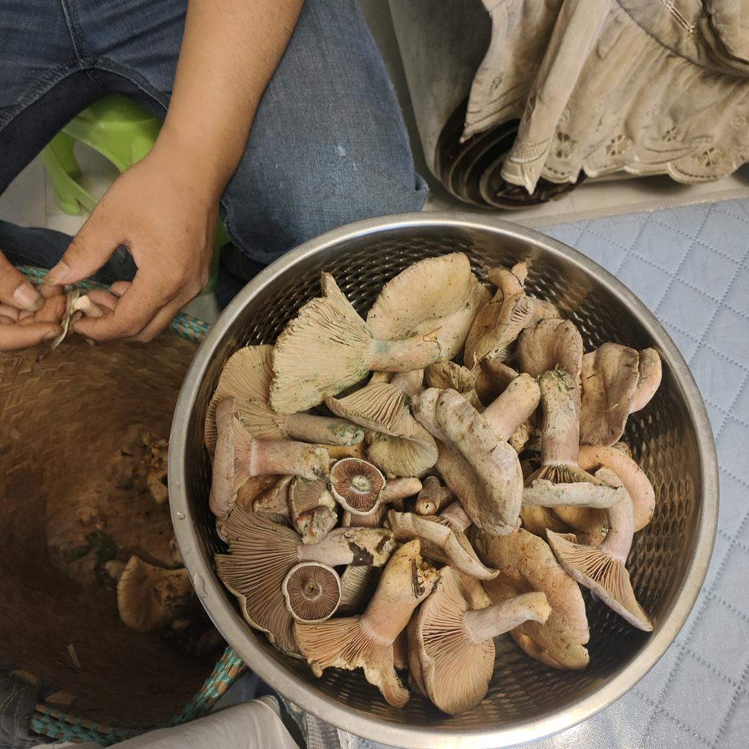 就这样被你征服