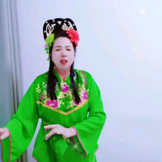 安徽庐剧张三姐🌹🌹 对口型十表演
