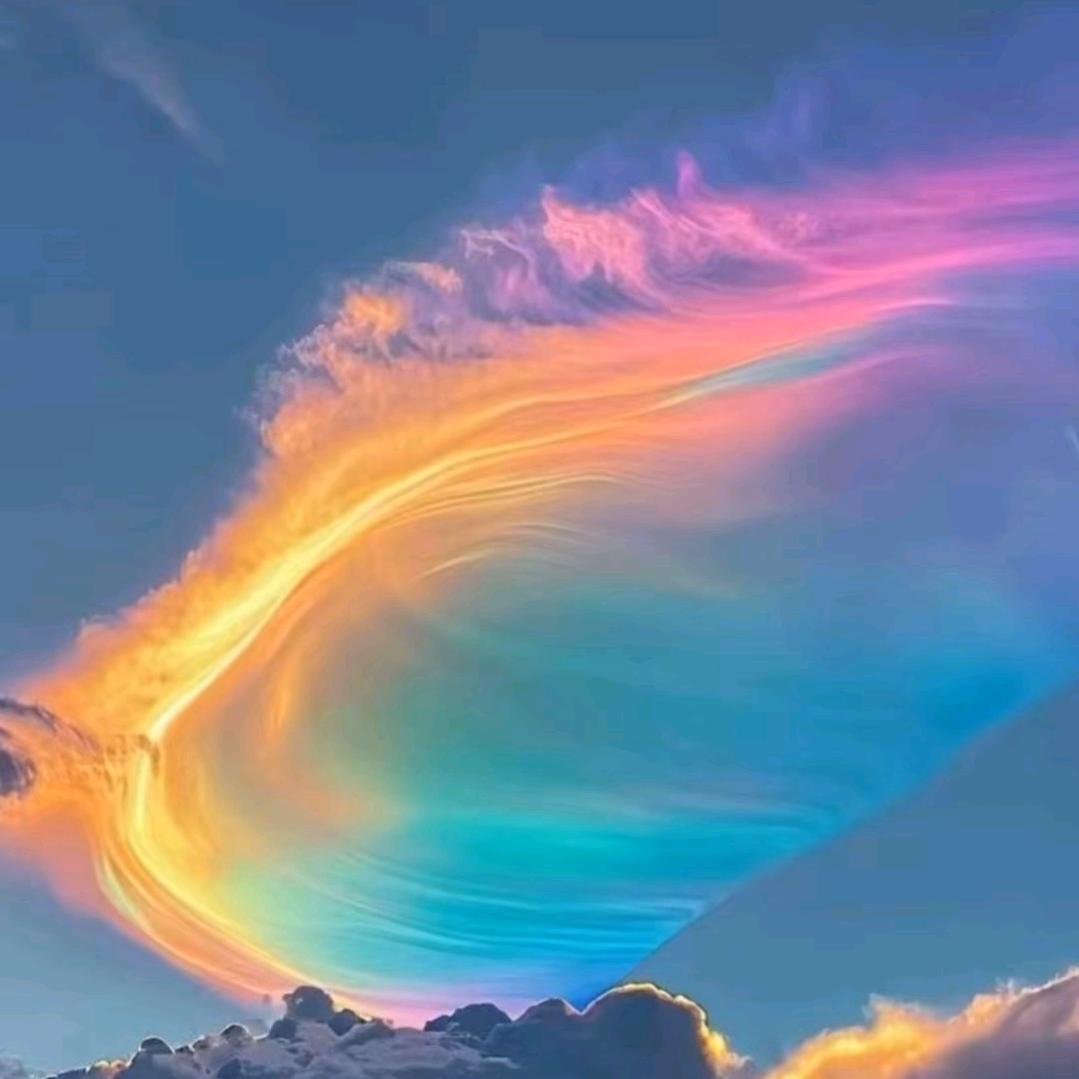 只关注好事的宝子