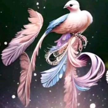@✎ℳ₯㎕♡༗520