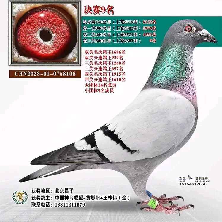 809