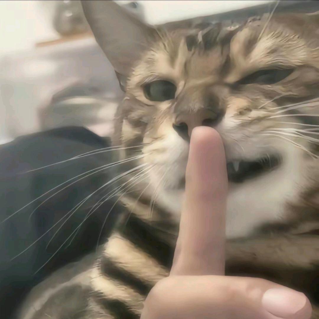 砚尘