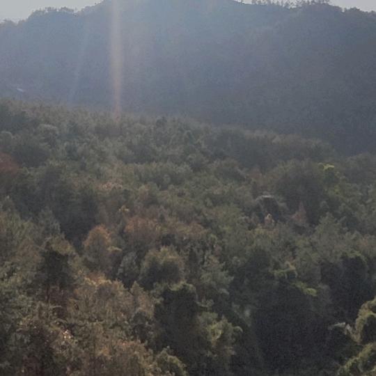 梦见～惊醒