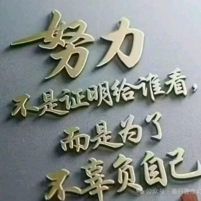 道路掌控者