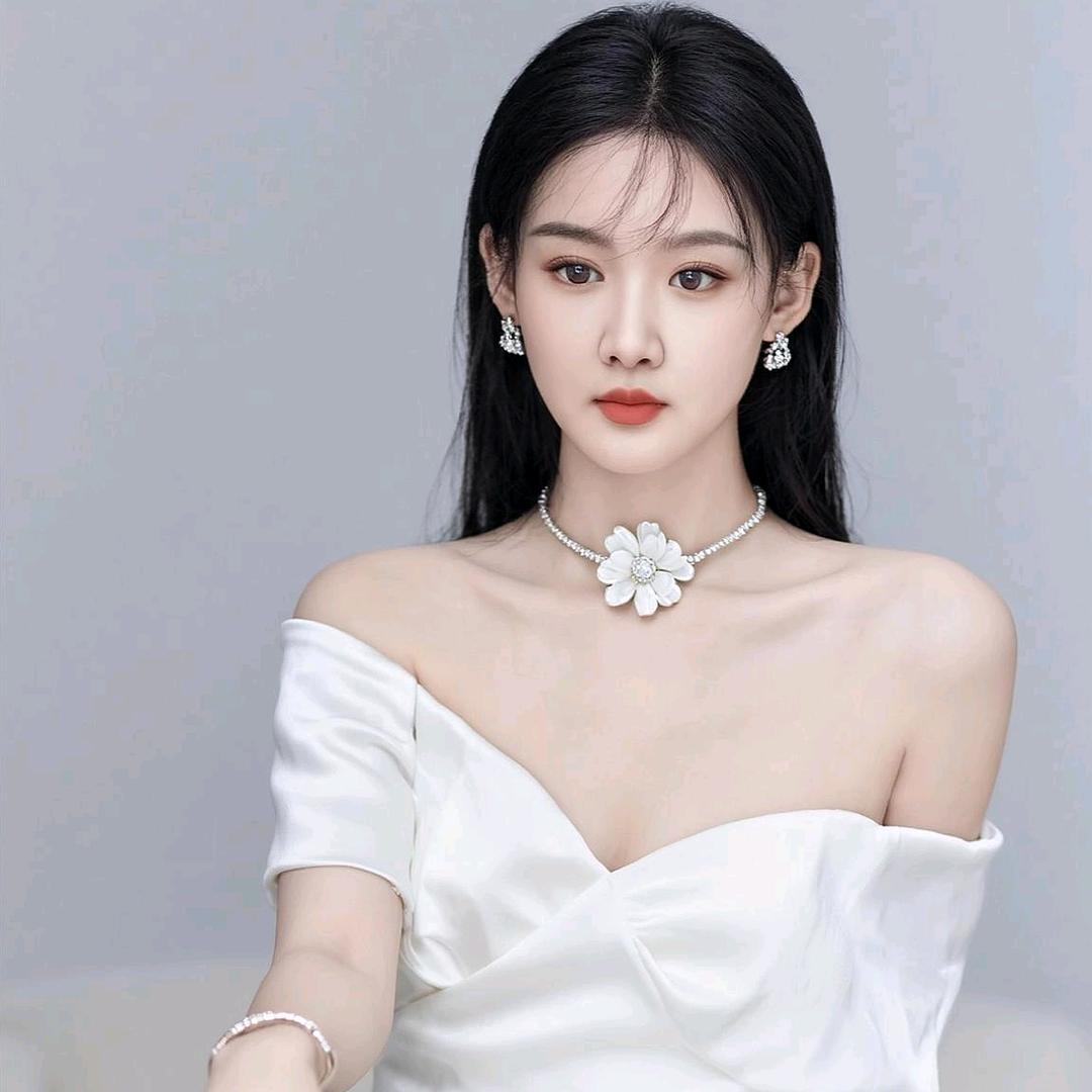 李家二小姐