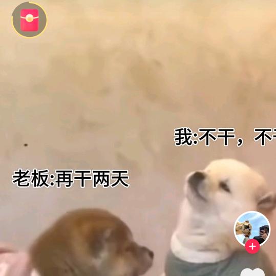 煌