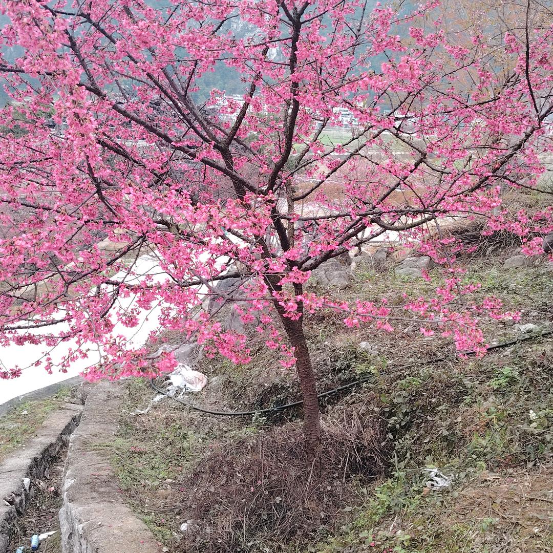 现青影像