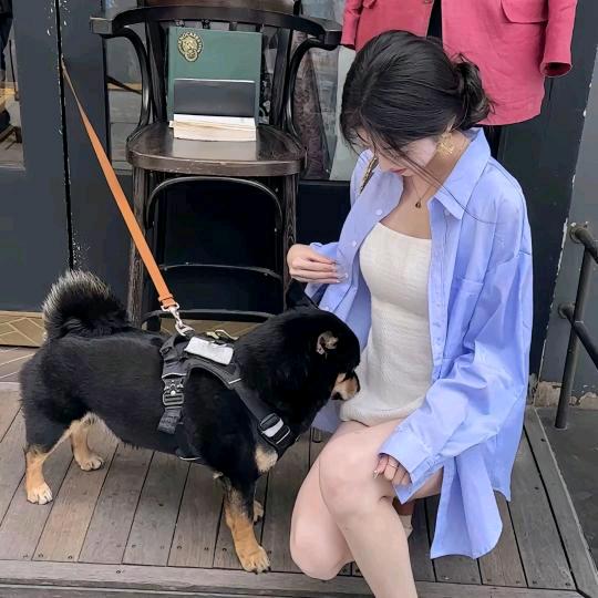 可心（离异中）