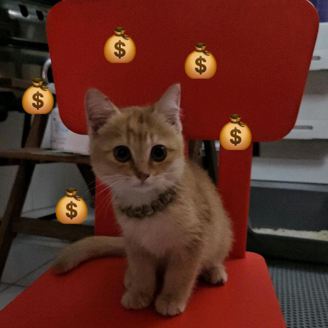 💰发财日记