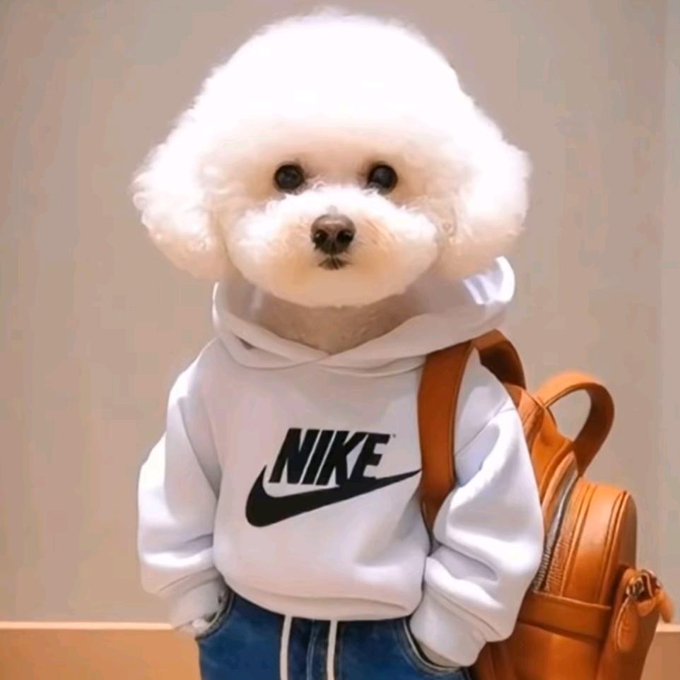 小K