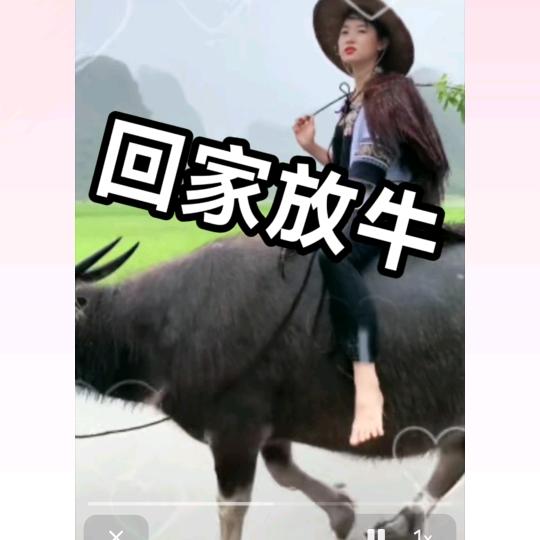 我儿子爸爸来了