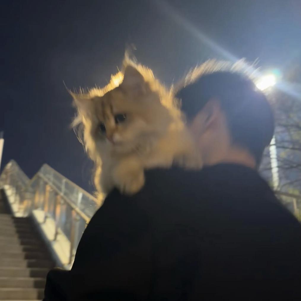 晚风一点点
