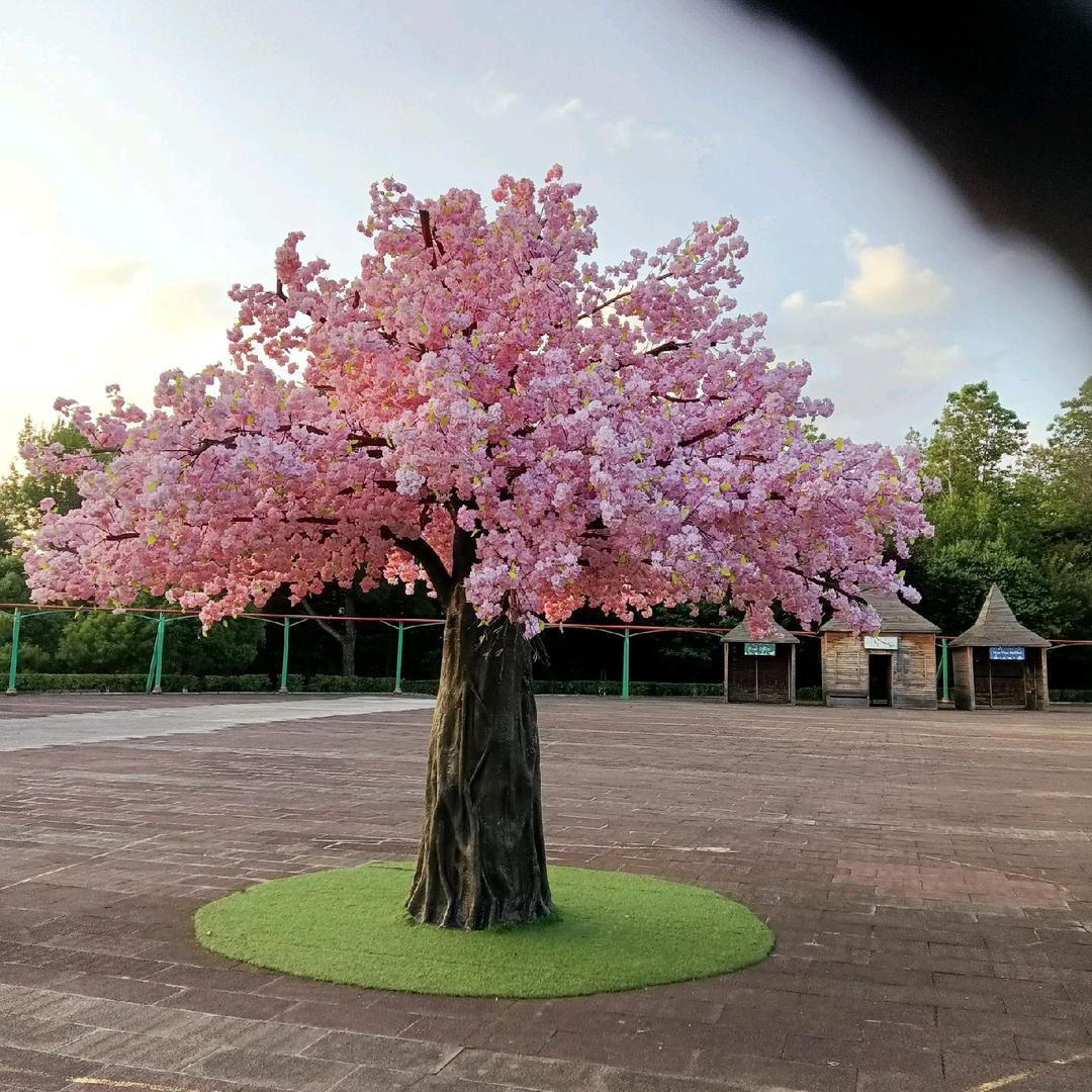 有苦难言