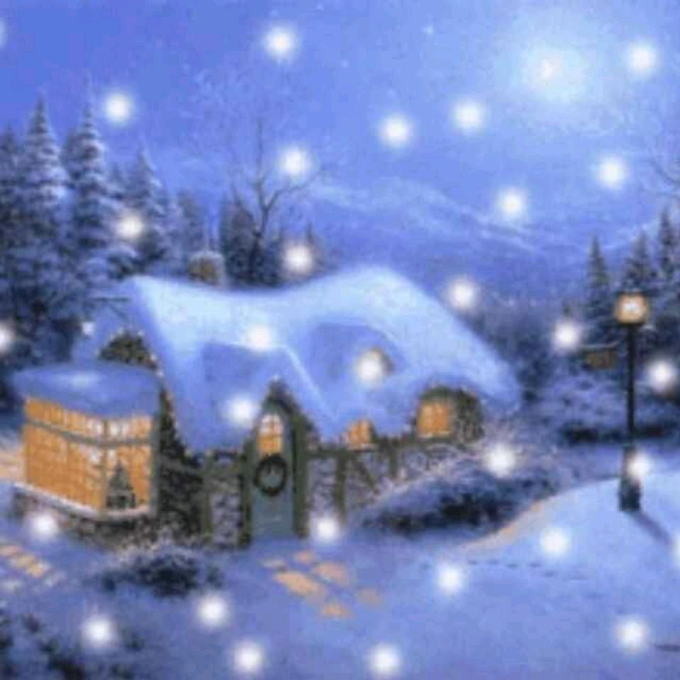 飘雪庐