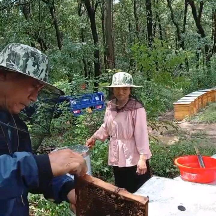 刘家，蜂场出售纯蜂蜜。蜂王浆，花粉等🙏