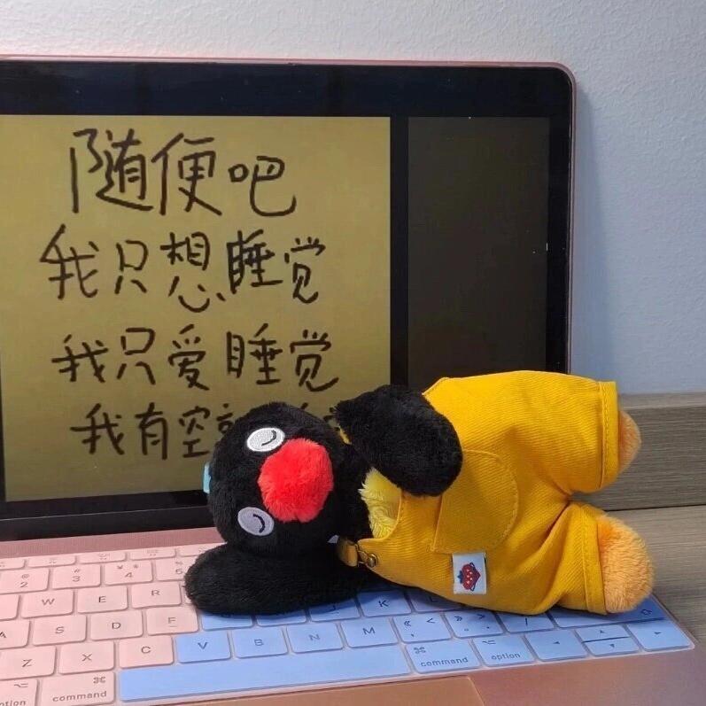 宇宇大王