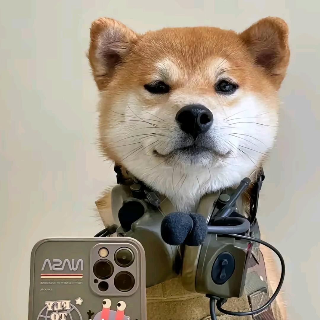 控赫