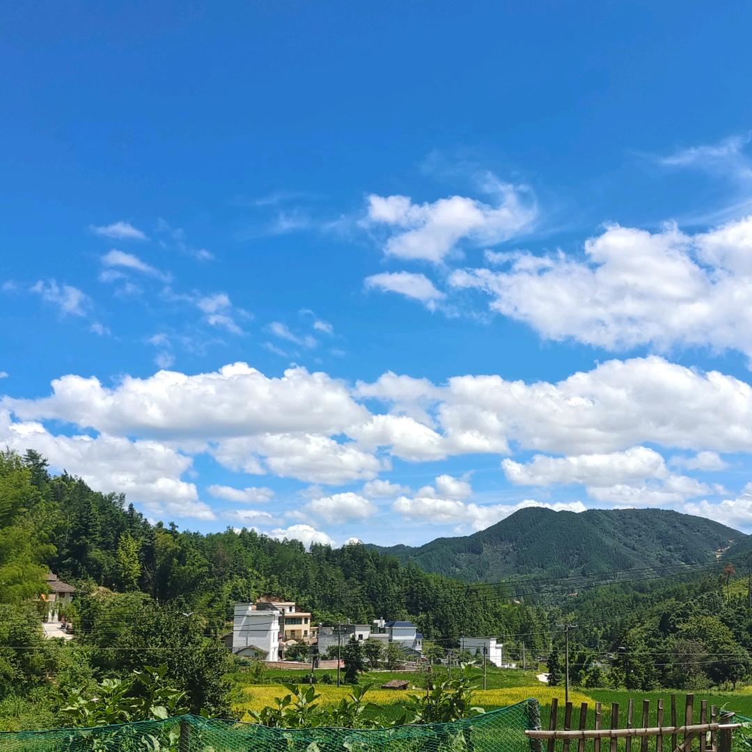 恋之风景