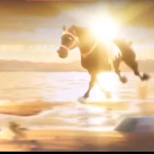 光明无刀（我努力了，梦还在远方吗？）