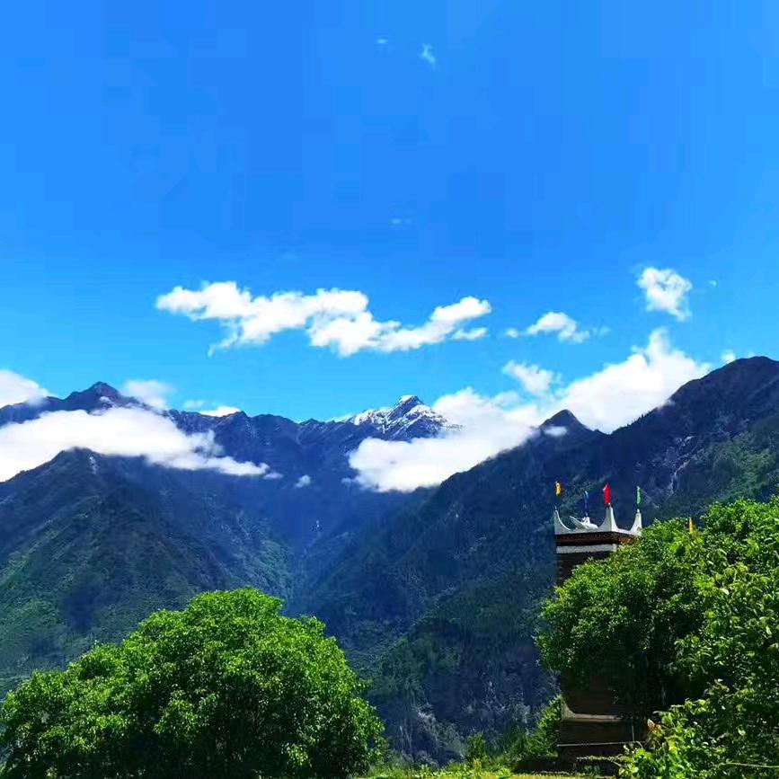 我是一颗小小草