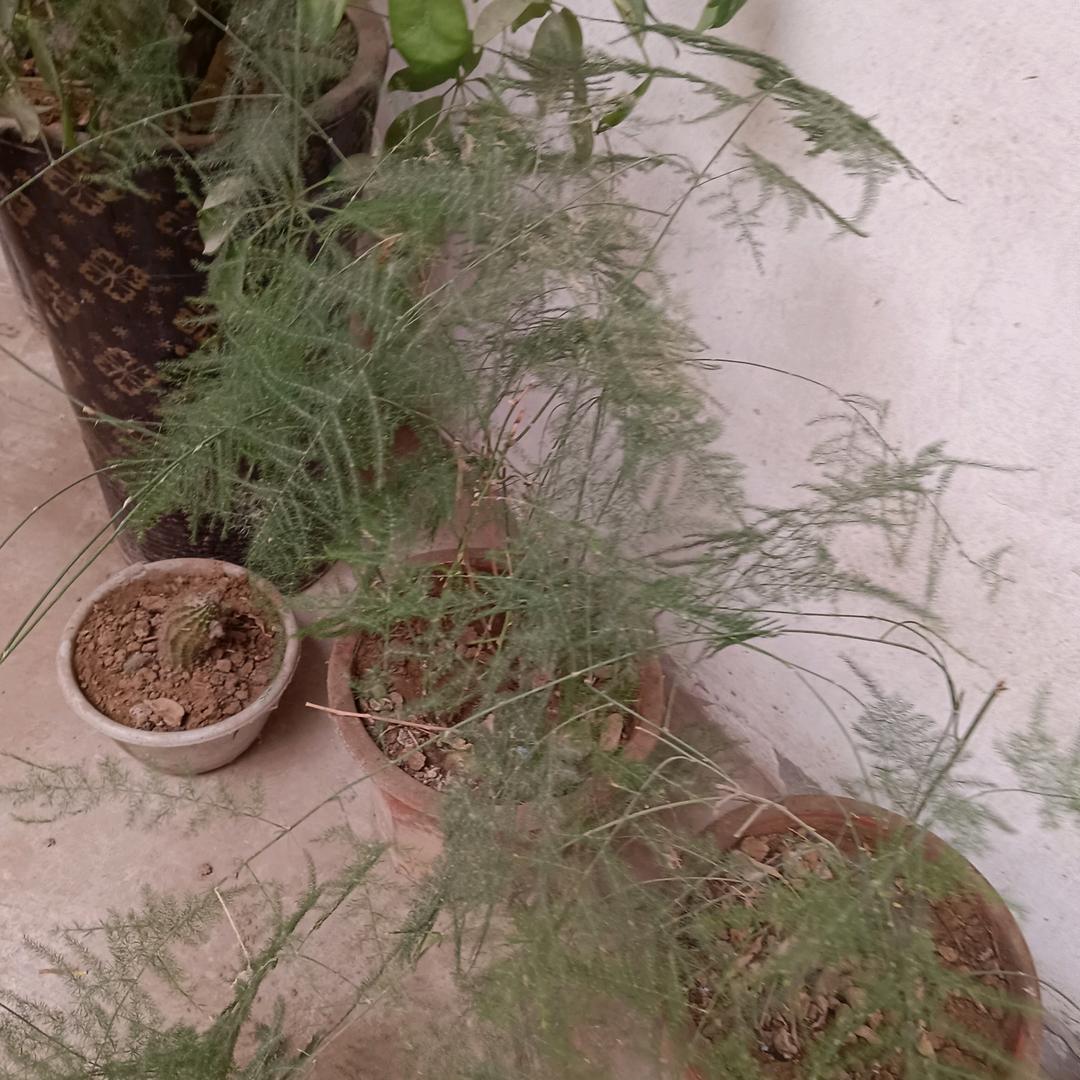 蒙蒙细雨（拒绝私聊）