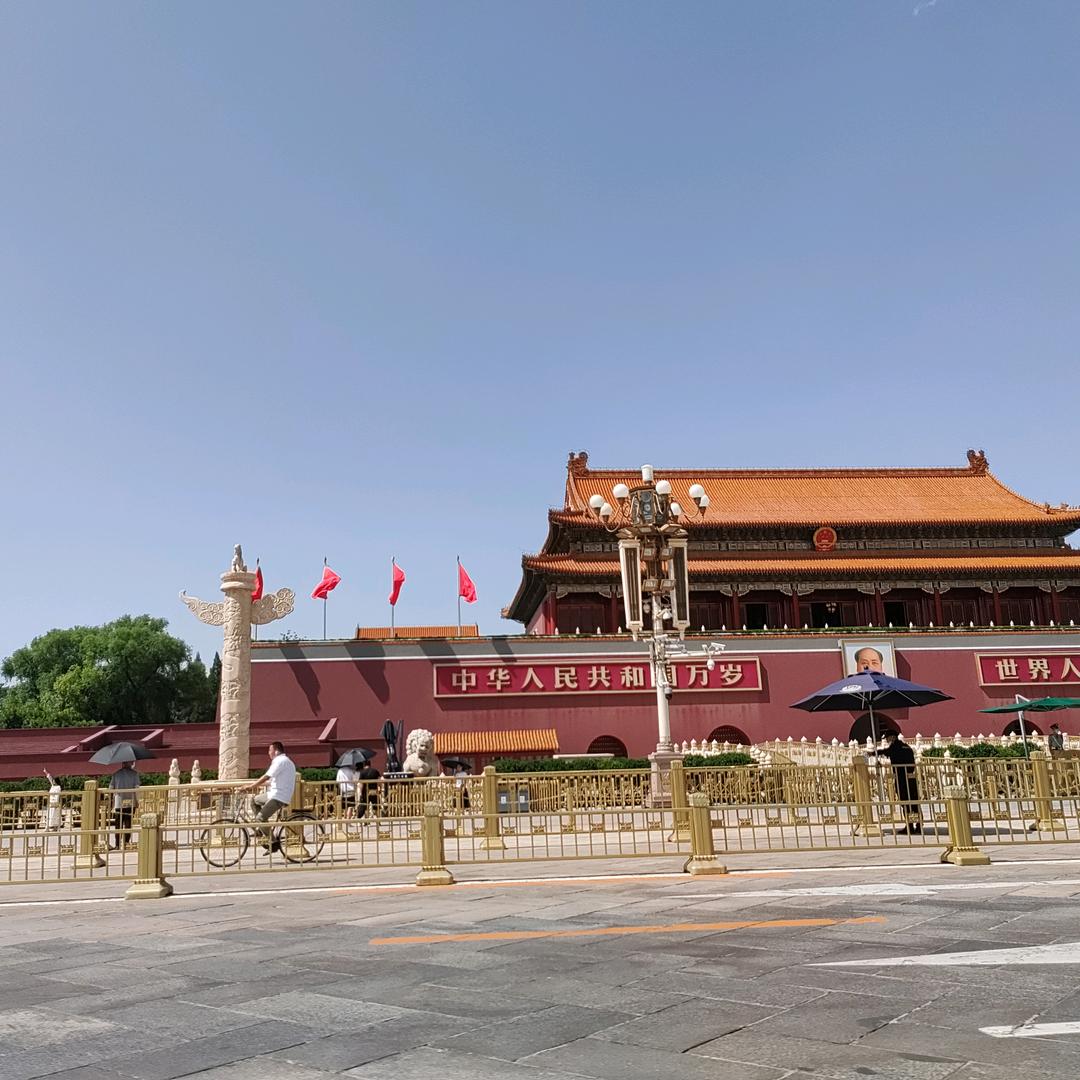 爱赌才会赢