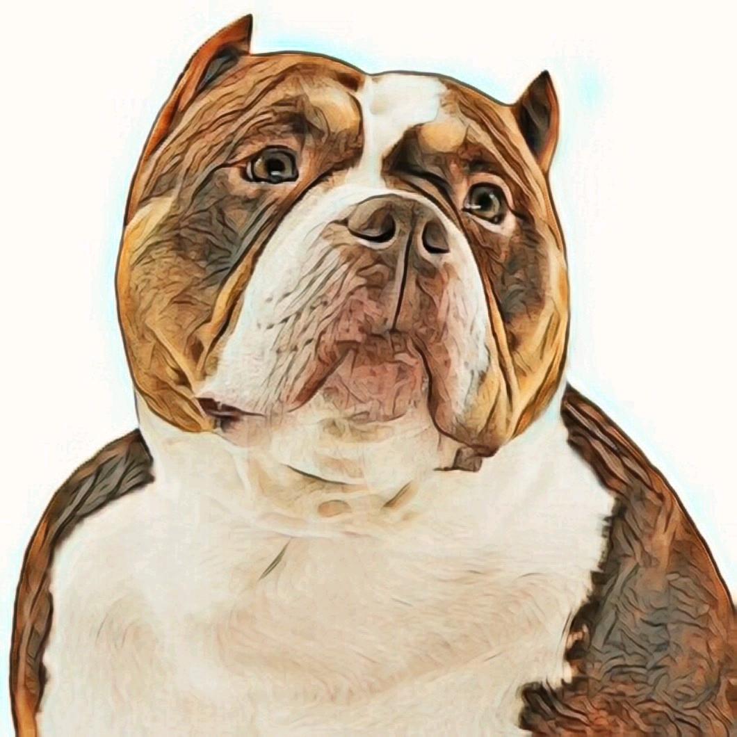 大白的恶霸犬