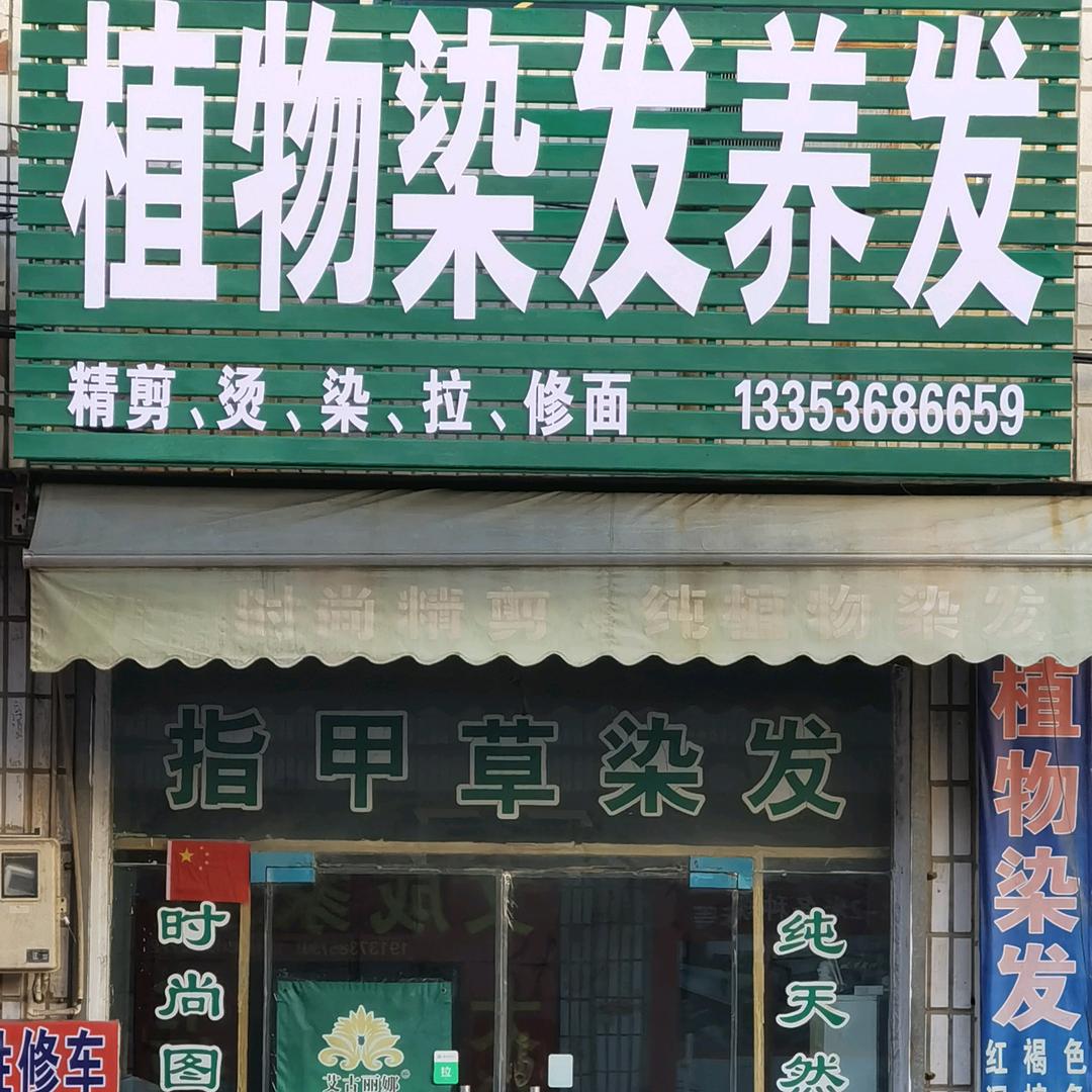 植物染发店