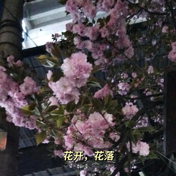 喜欢少妇🙈