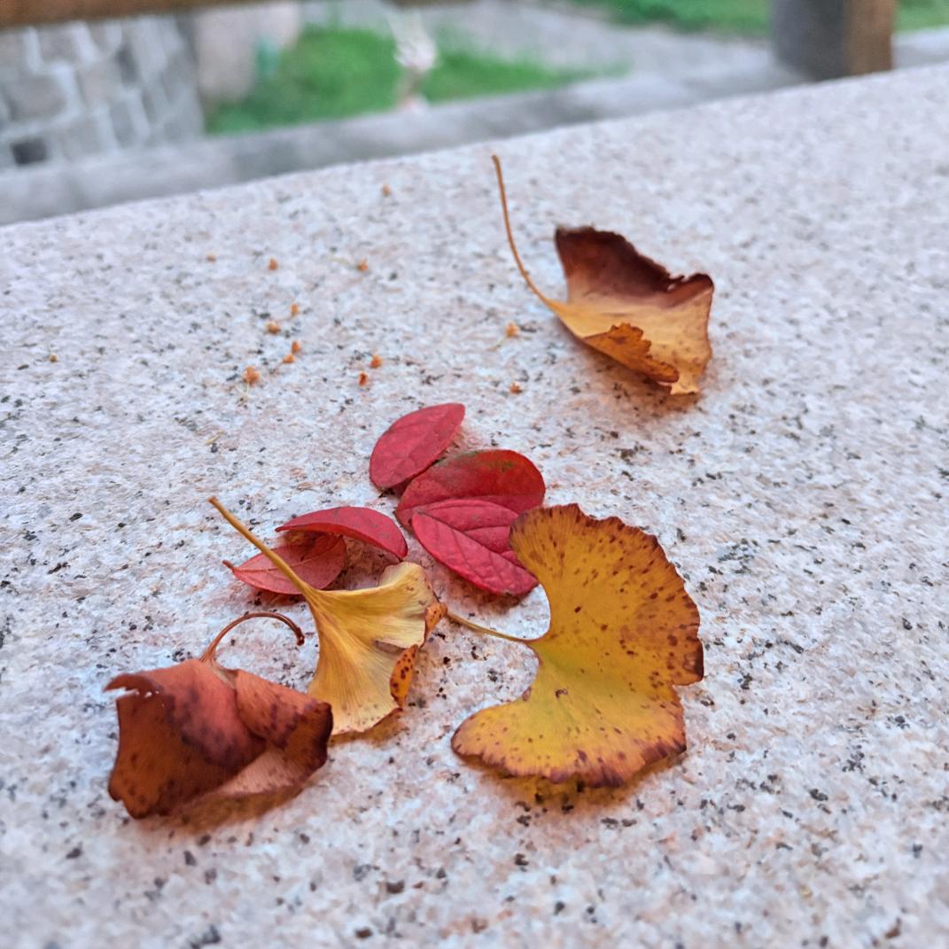 玲
