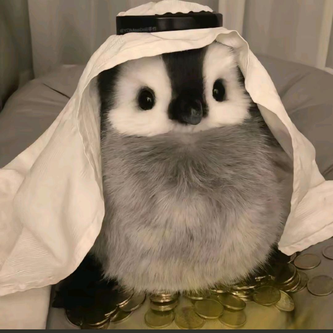 随意