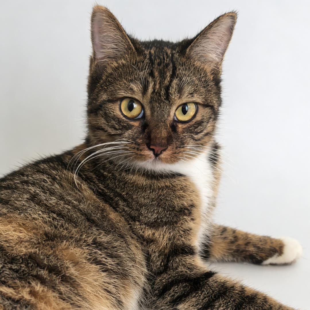 叫我恶魔玛利亚安琪妈