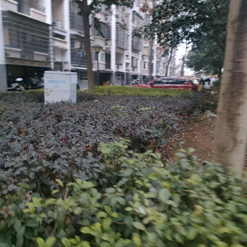 清醒