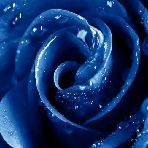 ꩵꦿ余ᩚ生ᩚ勿ᩚ扰ᩚꦿꦙ