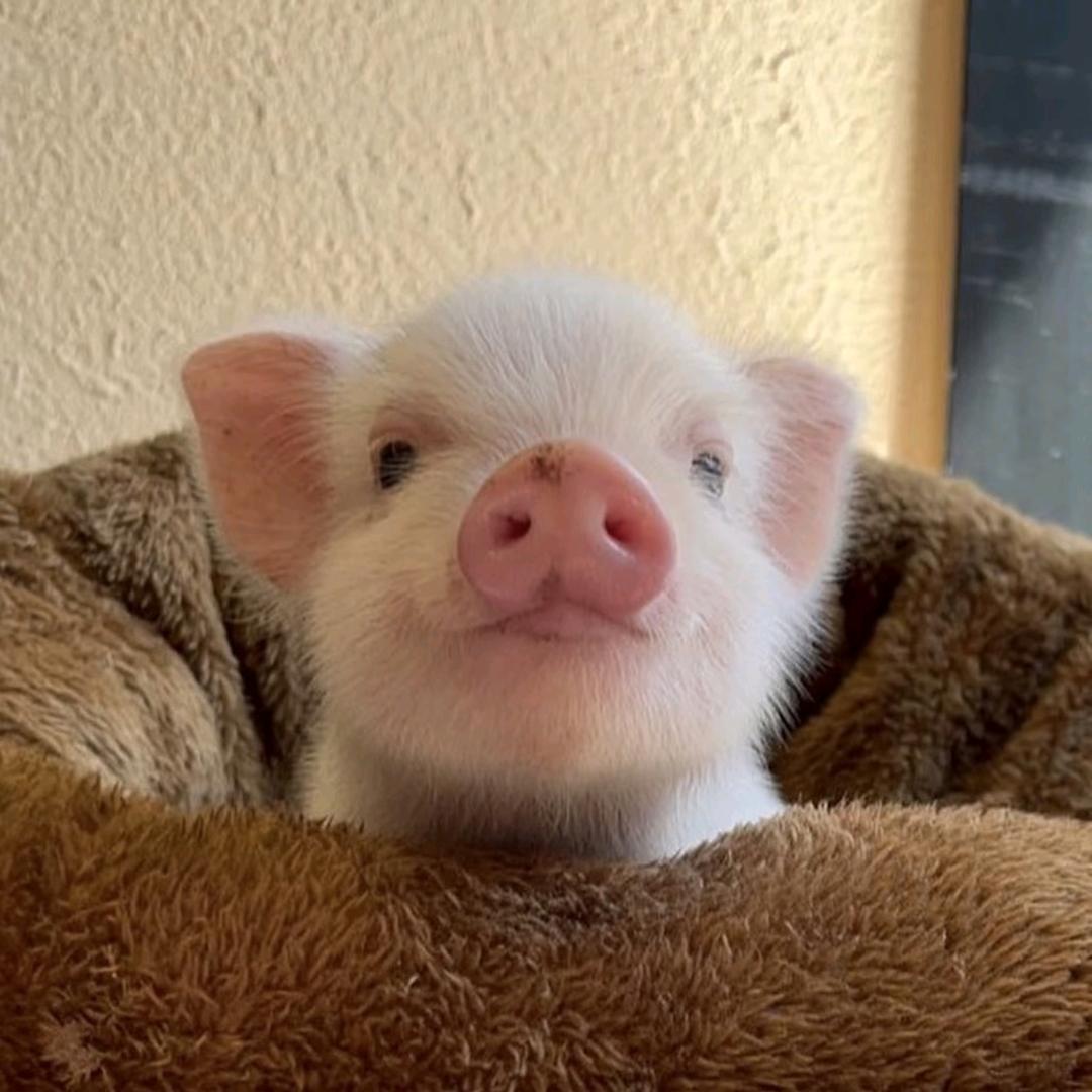 把遗憾留在风中