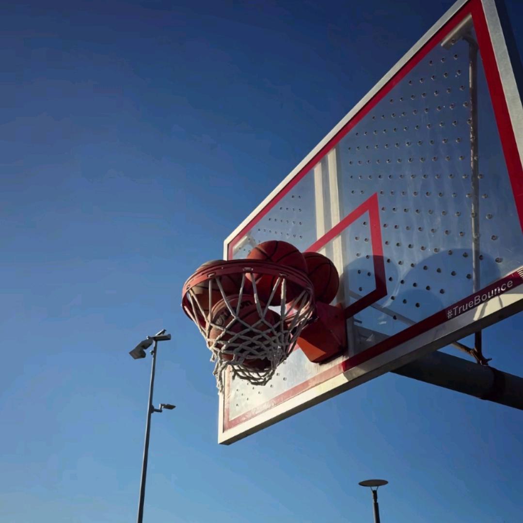 仕途教育氧气邮递员