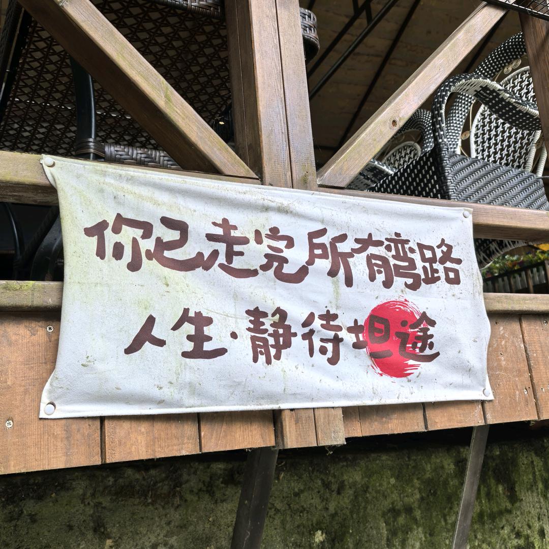 地球之盐