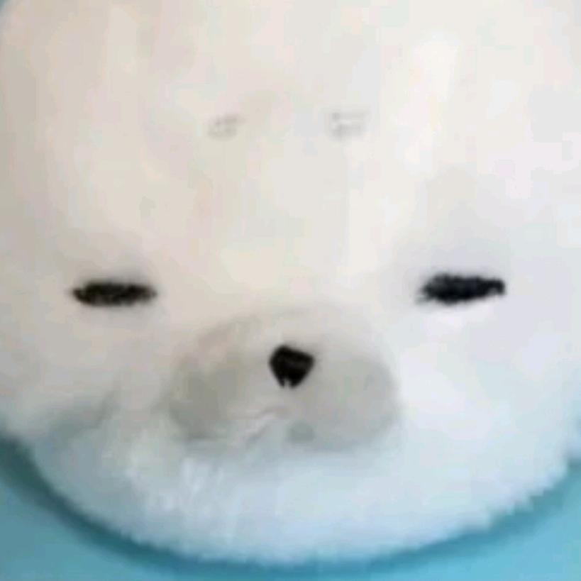 柴菠