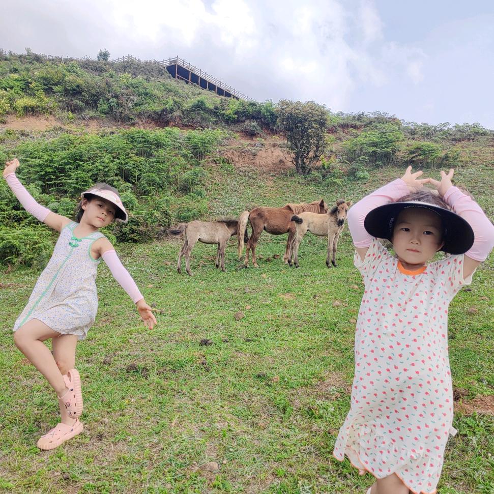 一大两小，流浪地球的赵miss