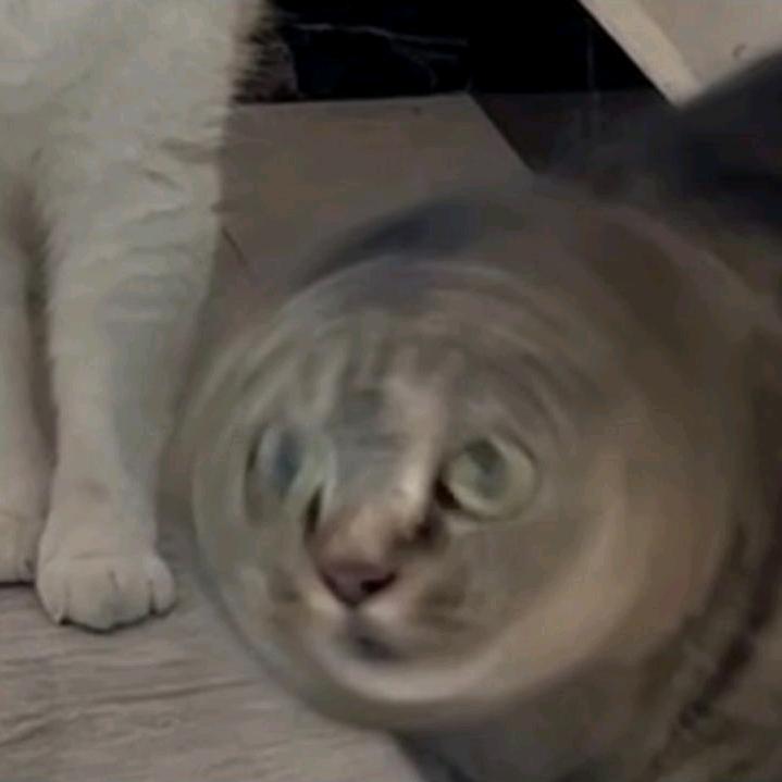 Jame HU（忠义两全版）