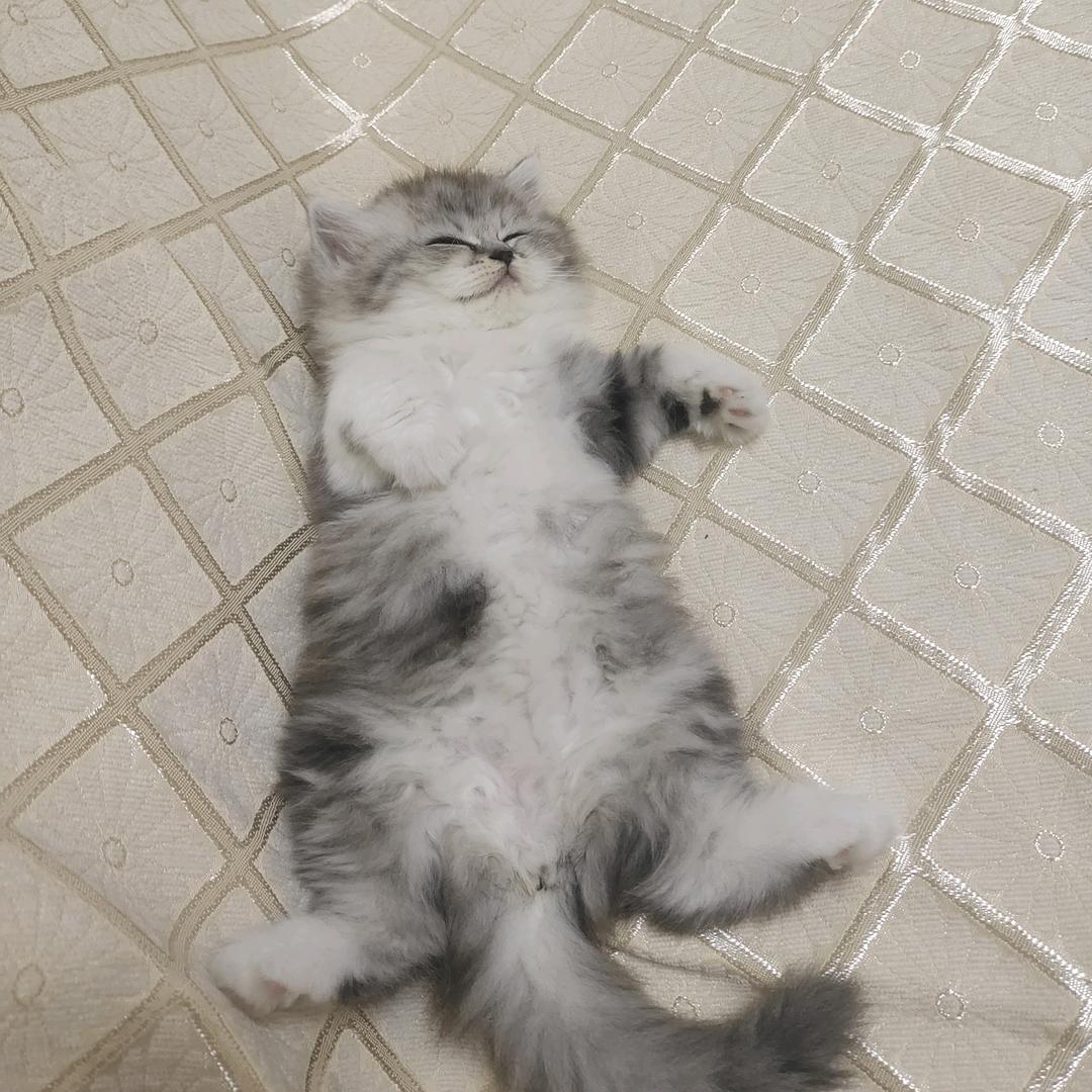 万顺