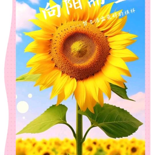 中国广电~开心就好