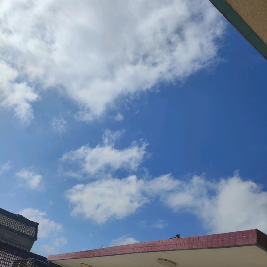 夏日暖阳